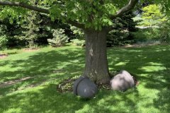 Lunch-in-the-Lilacs.009