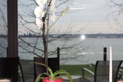 wine-and-art-on-the-water.004