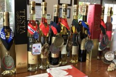 wine-tour-2018.022
